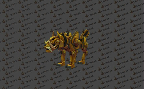 黄金正面